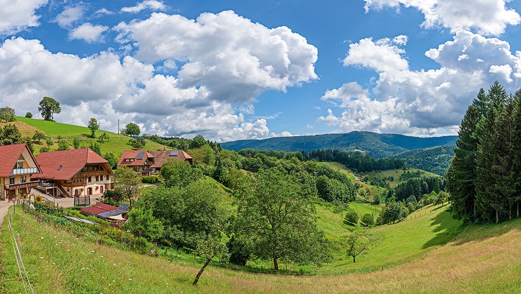 Schwarzwald DSC5610 Pano